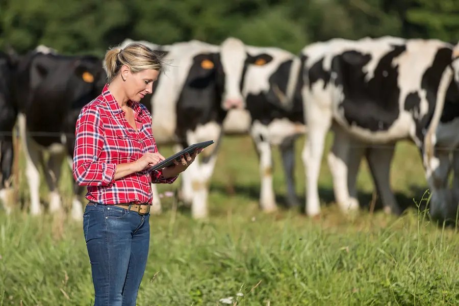 The power of Human Resources Management in the success of dairy farms